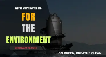 Waste Water's Environmental Impact: Harmful Effects and Urgent Solutions