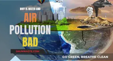Pollution's Impact: Water and Air Quality's Deterioration