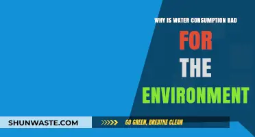 The Hidden Environmental Costs of Excessive Water Consumption