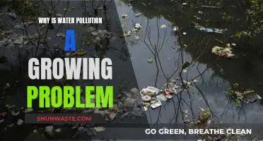 Water Pollution: A Growing Crisis and Why?