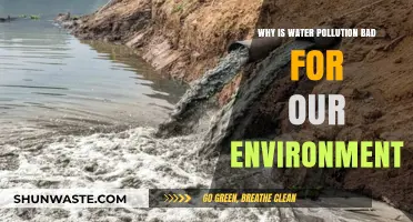 Water Pollution's Devastating Impact: Harming Ecosystems, Health, and Our Future