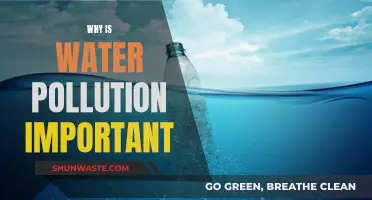 Water Pollution: A Threat to Our Planet's Health and Future