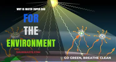 Water Vapor's Hidden Impact: Uncovering Its Environmental Consequences