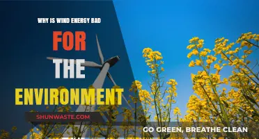 Wind Energy's Hidden Costs: Environmental Impacts and Sustainability Concerns