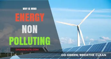 Wind Energy: A Clean, Sustainable Power Source Without Pollution