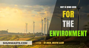 Harnessing Wind Power: Eco-Friendly Benefits for a Sustainable Future