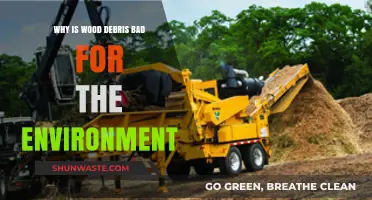 Wood Debris: Environmental Impacts and Sustainable Disposal Solutions