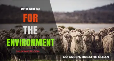 Wool's Environmental Impact: Unraveling the Hidden Costs of Production