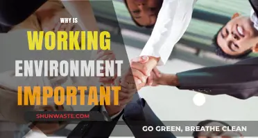 The Impact of a Positive Work Environment on Employee Success