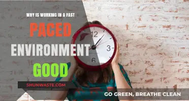 Thriving in Speed: Benefits of Fast-Paced Work Environments