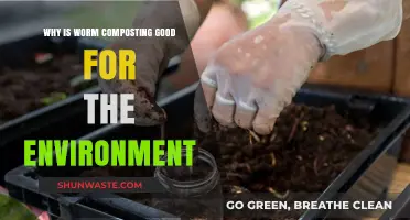 Worm Composting: Eco-Friendly Benefits for a Greener, Healthier Planet