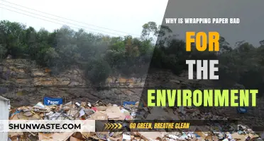 Unwrapping the Truth: How Wrapping Paper Harms Our Planet
