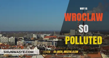Wroclaw's Air Quality Crisis: Uncovering the Causes of High Pollution
