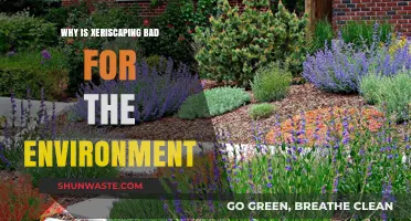 Xeriscaping's Hidden Costs: Environmental Drawbacks of Water-Efficient Landscaping