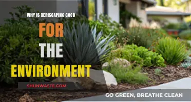 Xeriscaping: Eco-Friendly Landscaping for a Sustainable, Water-Wise Future