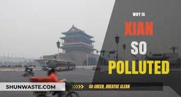 Why Xian's Air Quality Suffers: Uncovering the Pollution Crisis