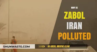 Why Zabol, Iran Suffers from Severe Air Pollution: Causes and Effects