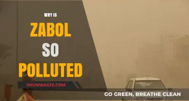 Zabol's Pollution Crisis: Uncovering Causes and Urgent Solutions Needed