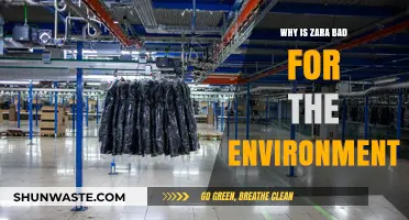 Zara's Environmental Impact: Fast Fashion's Hidden Ecological Costs Explained