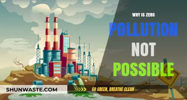 Zero Pollution: An Unattainable Goal in Our Modern World