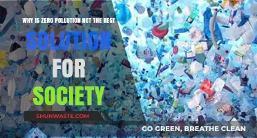 Zero Pollution Myth: Why Absolute Cleanliness Isn't Society's Ideal Solution