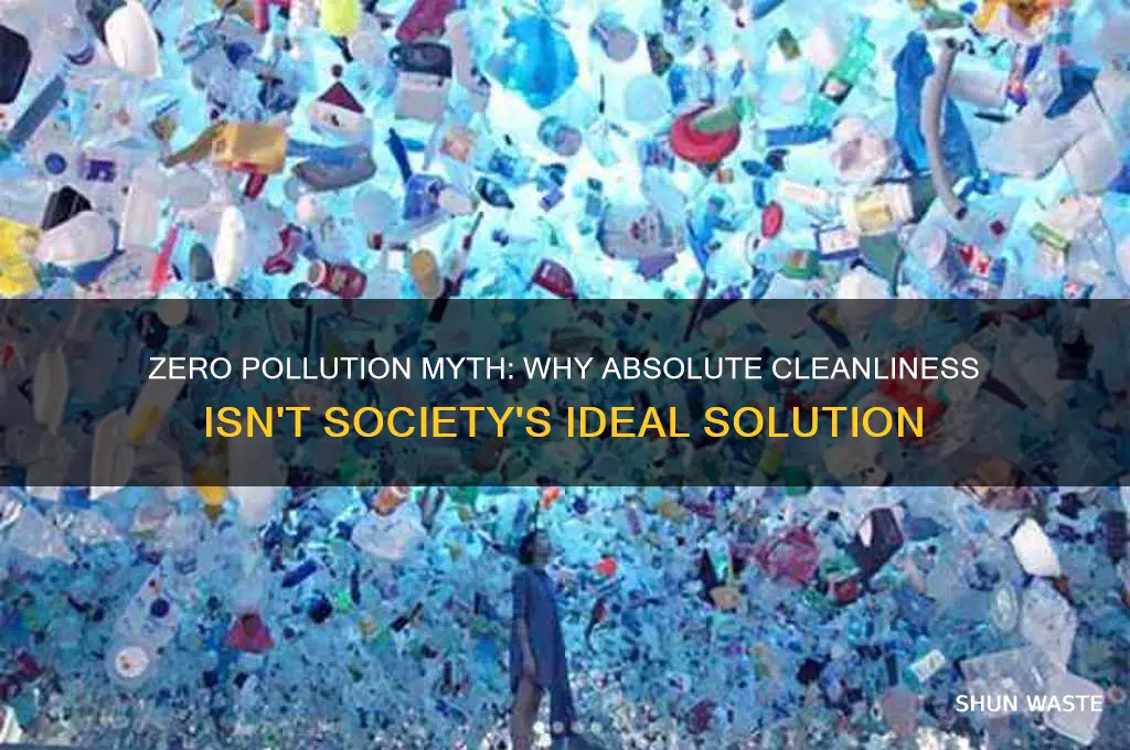 why is zero pollution not the best solution for society