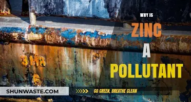 Zinc's Environmental Impact: Understanding Its Role as a Pollutant