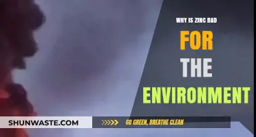 Zinc's Environmental Impact: Pollution, Ecosystem Disruption, and Sustainability Concerns