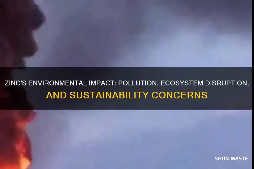 why is zinc bad for the environment