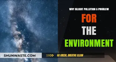 Light Pollution's Hidden Environmental Impact: A Growing Global Concern