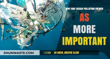 Ocean Pollution Crisis: Why Isn't It a Global Priority?