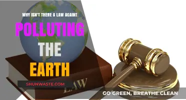 Why Earth Pollution Remains Unchecked: The Absence of Global Laws
