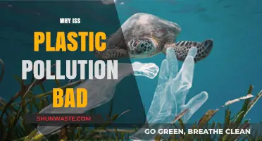 The Devastating Impact of Plastic Pollution on Our Planet