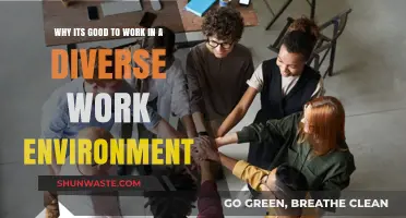 Embrace Diversity: Boosting Innovation and Success in the Workplace