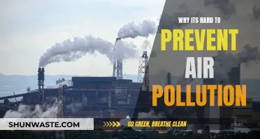 Air Pollution: Why Prevention is Challenging