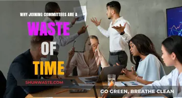 The Inefficiency of Committee Meetings: A Time Management Perspective