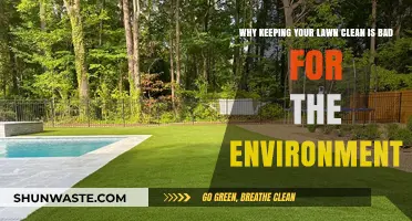 Pristine Lawns vs. Planet: The Hidden Environmental Cost of Cleanliness