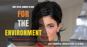 Kylie Jenner's Excessive Lifestyle: A Detrimental Impact on Our Planet