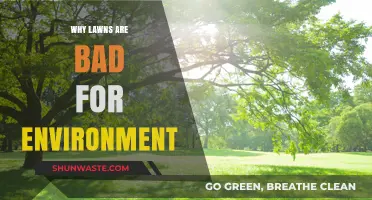 The Hidden Environmental Costs of Maintaining a Perfect Lawn
