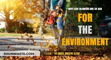 Leaf Blowers: The Hidden Environmental Hazard in Your Backyard