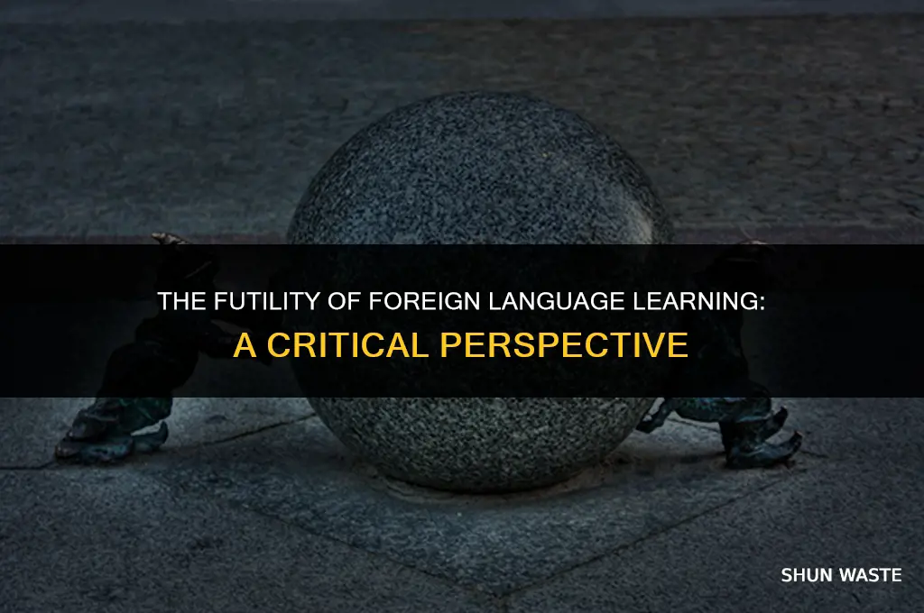 why learning a foreign language is a waste of time