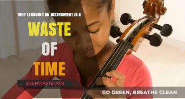 Why Learning an Instrument Might Not Be Worth Your Time