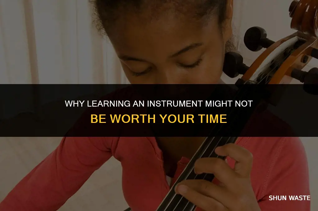 why learning an instrument is a waste of time