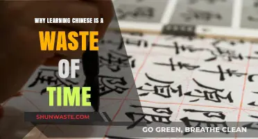 Debunking the Myth: Is Learning Chinese Really a Waste of Time?