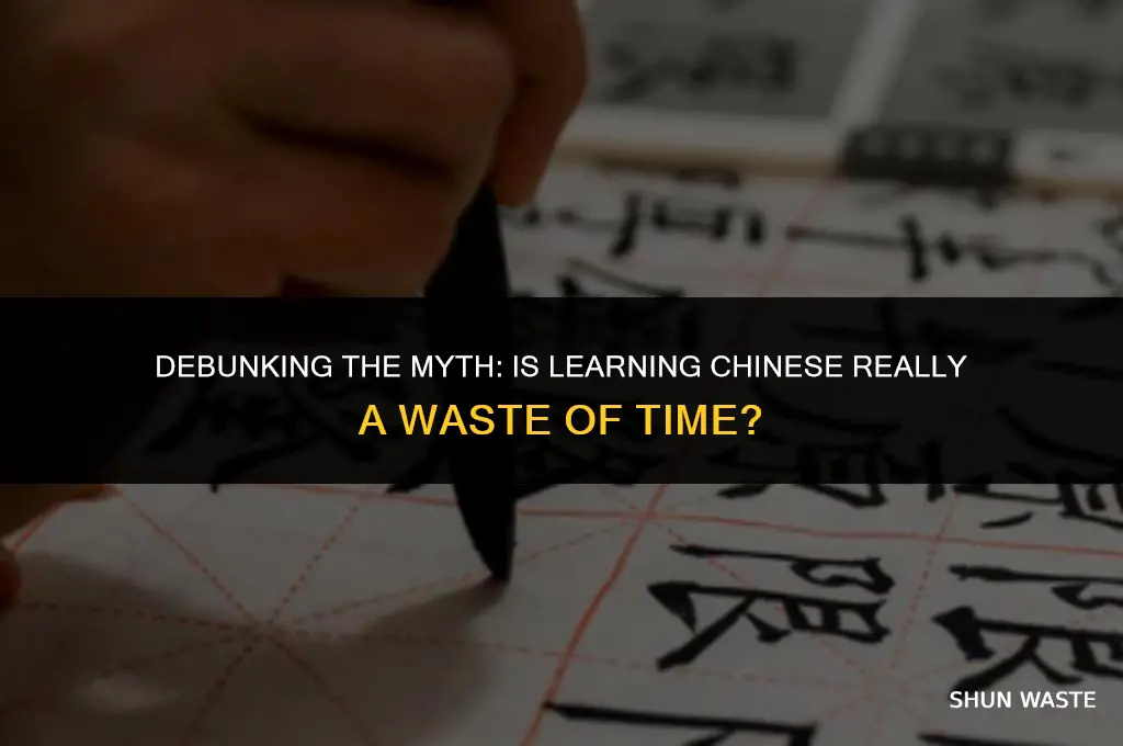 why learning chinese is a waste of time