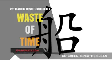 Debunking the Myth: Is Learning to Write Chinese Really a Waste of Time?