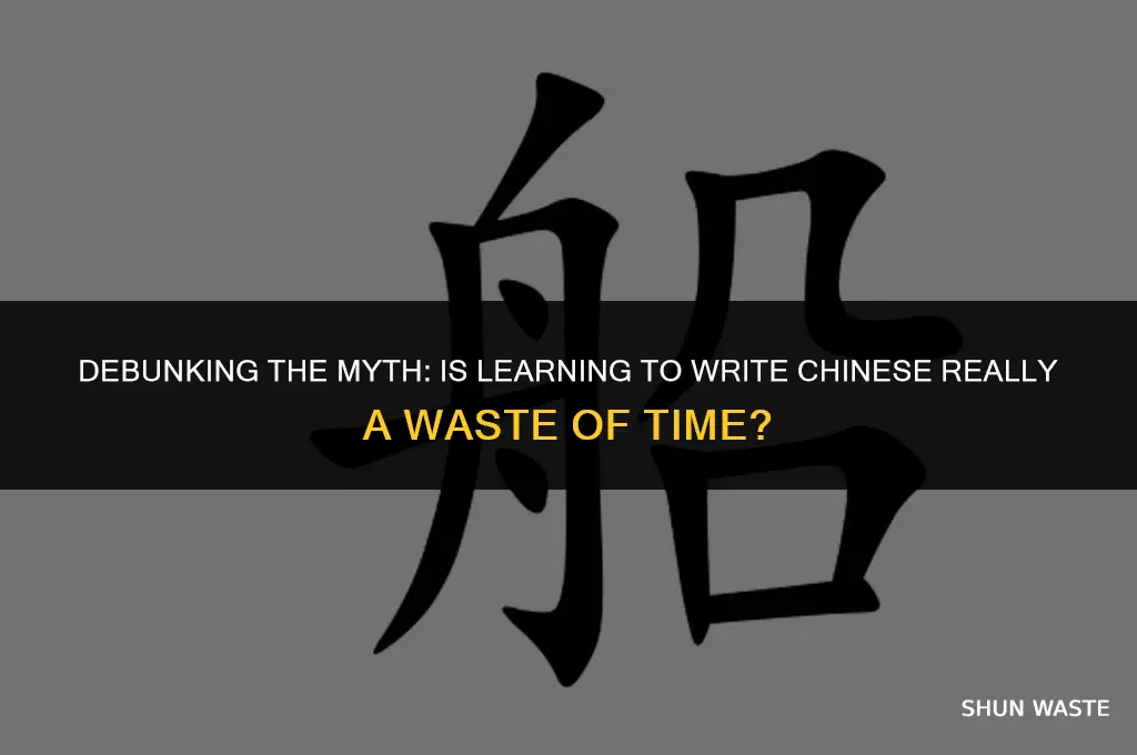 why learning to write chinese is a waste of time