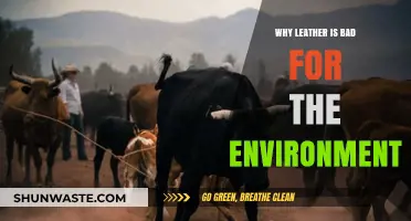 Leather's Environmental Impact: Uncovering the Hidden Costs of a Luxury Material
