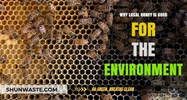 Local Honey's Eco-Friendly Impact: Supporting Bees and Sustainable Ecosystems