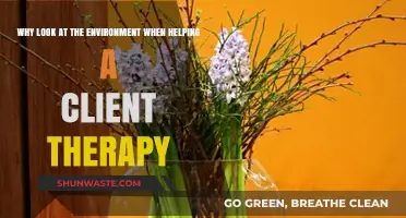 Environmental Factors: Key to Effective Client Therapy and Healing